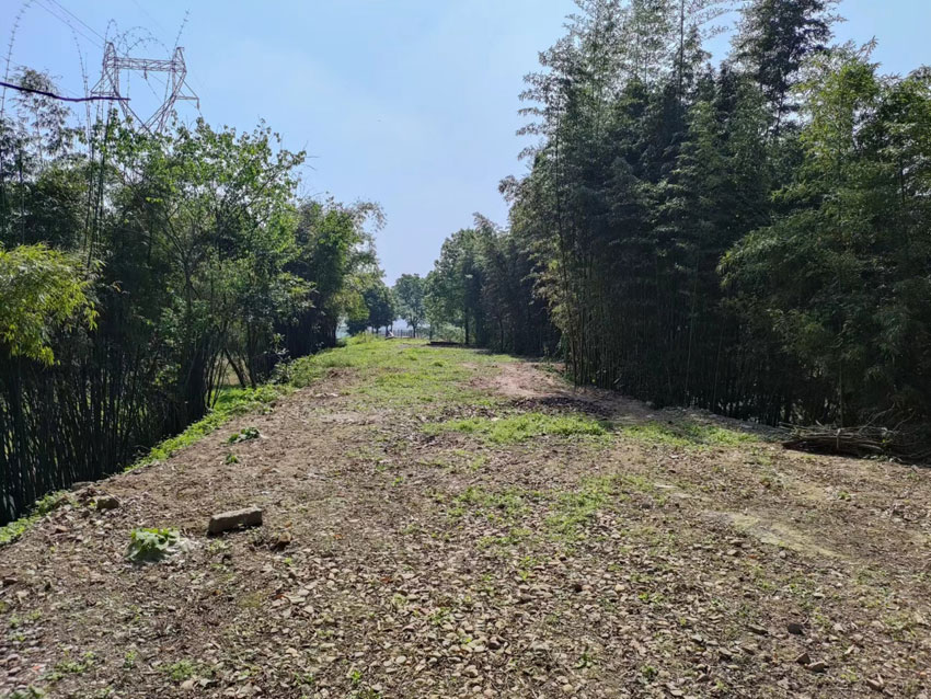 1659665990141217.jpg 圖片2.jpg